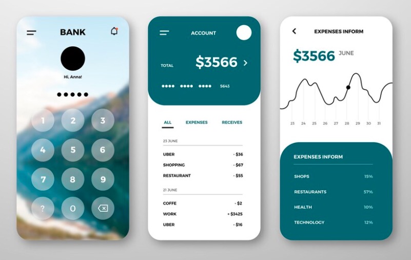 Screenshot dashboard bilancio digitale